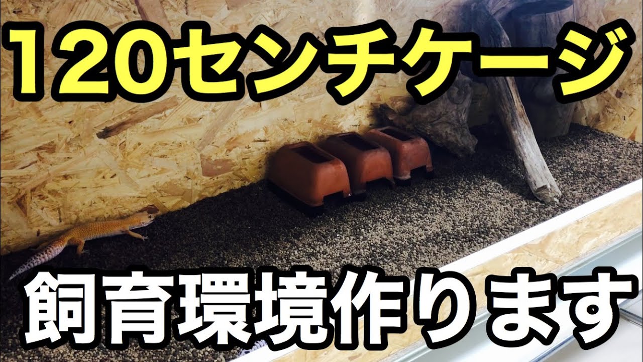 This is a video about the continuation of the previous 120cm cage