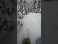 Follow for more #powderskiing content. #skibum #skiing #backcountryskiing @4frnt_skis @dakine