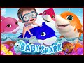 tubarão bebê | Rimas infantis e canções infantis | Banana Cartoon - After School Club - Kids
