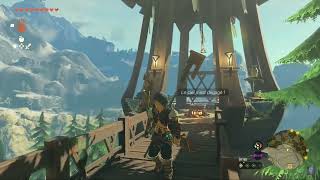 Lavis Bien Salé Du Hooper Sur Zelda Tears Of The Kingdom