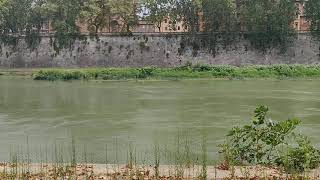 Lungotevere Roma