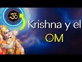 El  Gran Secreto de KRISHNA 🌀 SIMBOLISMO OCULTO