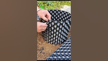 Máy móc vật tư nông nghiệp tự động! Hệ thống tưới Tháp Xanh