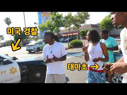 미국에서 흑인 깽들이 대마초피고 있을때, 백인경찰을 만나면 벌어지는일 l 미국#20