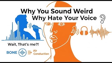 Why Does Your Voice Sound So Weird in Recordings  The Science Explained