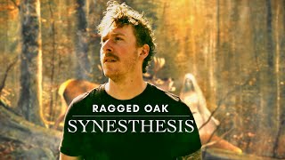 Ragged Oak - Synesthesis