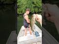 Small Alabama Lake Bass #fishing