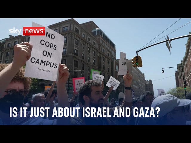 Are the US university protests about more than just Gaza and Israel?