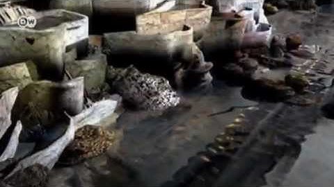 Synthetic Biology - Creating Life in the Laboratory | Tomorrow Today