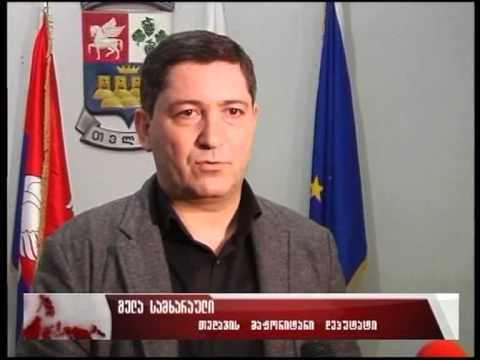 თეატრის ფასადზე ჩატარებული კვლევის შედეგების პრეზენტაცია