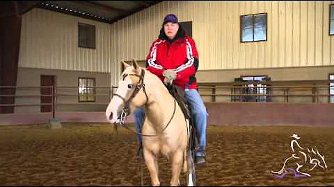 Horse Training - Reconditioning a Horse with Tom M...