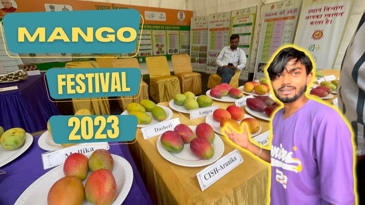 Mango Mela 2023 Mango Festival Pinjore 2023 Mango Mela YouTube mango-mela-2023-mango-festival-pinjore-2023-mango-mela-youtube
