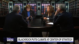 Data and Measurement Remain Challenges for ESG Investment, says Karp