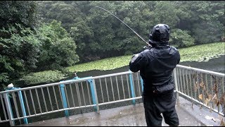 O.S.P新作ワーム「ドライブSSギル」がいろいろヤバい。