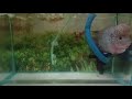 Middle of video