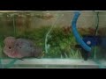 End of video