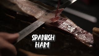 What is the HIGHEST RATED HAM in The World?