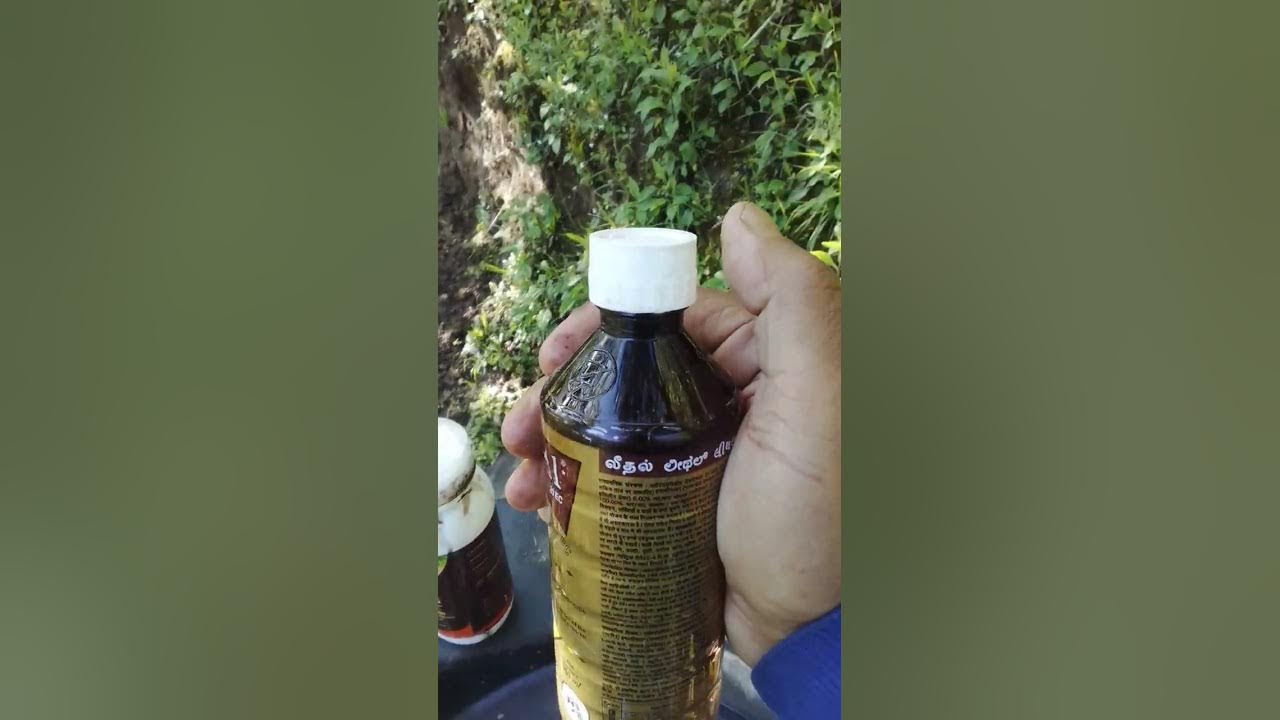 Fruit Development sprey Fruit growth k Liye Kon Si Sprey kare YouTube