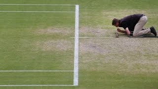 The challenges of maintaining a grass court