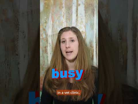 Vet Clinic Jobs No Experience
