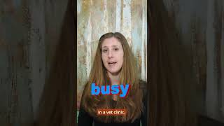 Do you love animals? Start out as a Vet Assistant! Net Worth