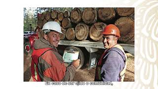 Registro en línea - Reglas de Operación 2023 - Desarrollo Forestal Sustentable para el Bienestar