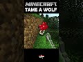 TAME A WOLF | Moonscad | Minecraft #Shorts #Viral #Wolf #Skeleton