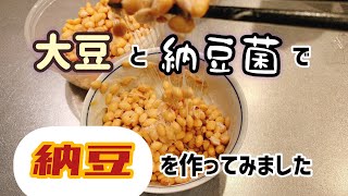 【手作り納豆】大豆と納豆菌で納豆を作ってみました。