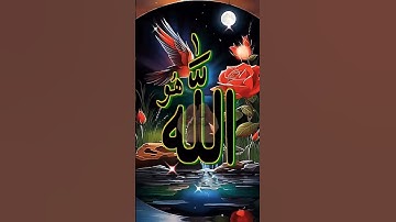 سورة الفلق للقارئ محمد الفقيه