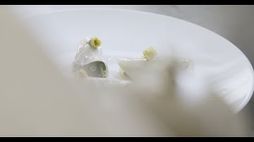 Vegan Fine Dining - Celeriac Ravioli