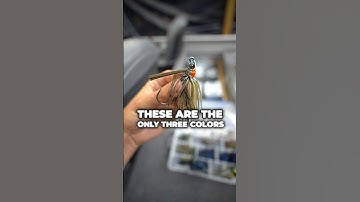 The ONLY 3 Bait Colors You’ll Ever Need for Bass Fishing 🎣🔥 #fishing