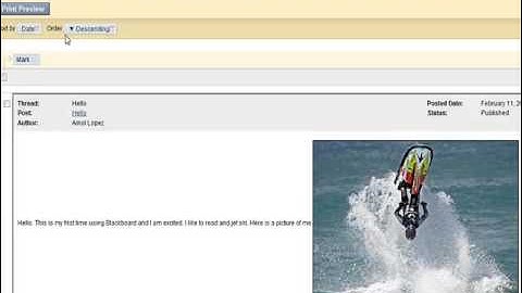 Performance Dashboard / Blackboard Tutorial