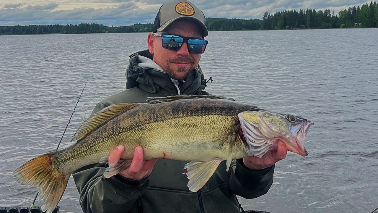 ALKUSYKSYN JIGIKALASTUS | MISTÄ KUHA LÖYTYY ? PALJON TIETOA ALKUSYKSYN KUHAN KALASTUKSESTA |