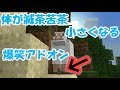 【マイクラPE】メッチャ体が小さくなる爆笑アドオン!!【アドオン紹介】