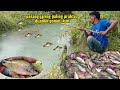 Trik pasang jaring betang yang jarang diketahui banyak orang dijamin panen ikan