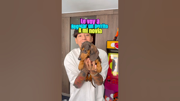 Le regale un perrito a mi novia