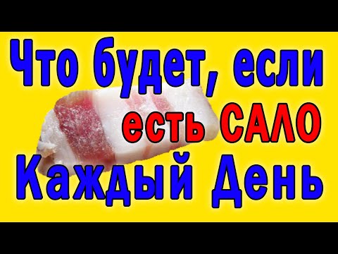 Что Произойдет с Вашим Организмом, если Есть Сало Каждый День 👍 Сало Вредно или Полезно