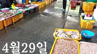 4월 29일 오늘 소래포구 난전어시장 수산물 Soraepogu (Nanjeon Fish Market) seafood market in Korea