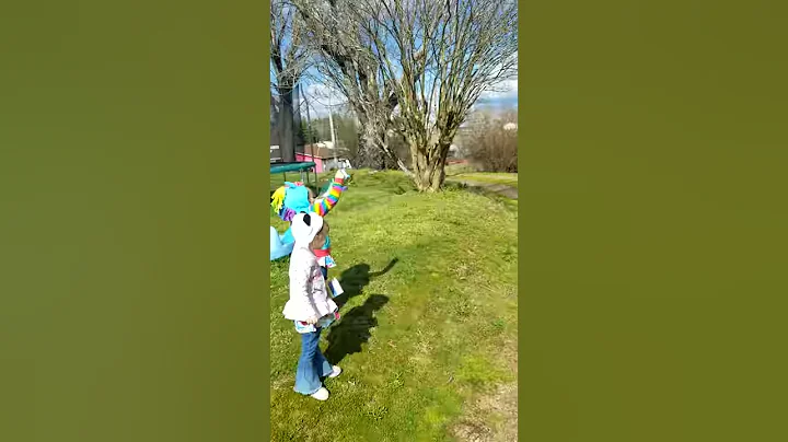 Kites(1)