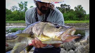 How to catch BIG spillway snook