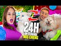 On echange nos chiens pendant 24h  2 feat michou