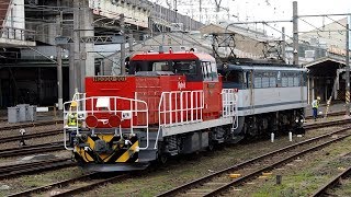 2019/05/20 【大宮出場】 EF65-2117 + HD300-901 大宮駅 | JR Freight: HD300-901 after Inspection at Omiya