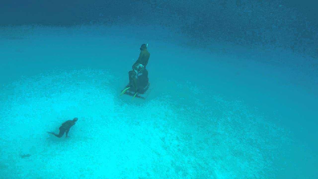 camera iphone 8 plus apk Caminata submarina en apnea - San Andres