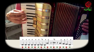 How to play Bubamara on Accordion www.gypsyaccordion.com