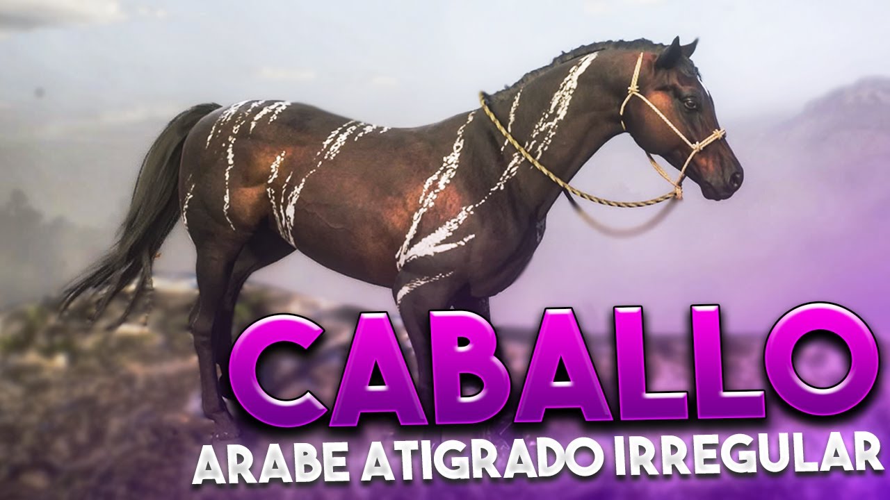 Caballo Arabe Red Dead Redemption 2