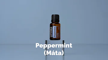 Co je přepálený olej?