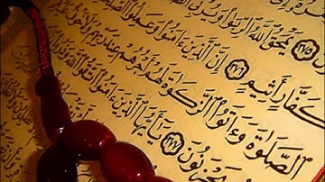 تلاوة عطرة للقارئ الشيخ فؤاد - سعيد حمدين - الجزائر العاصمة