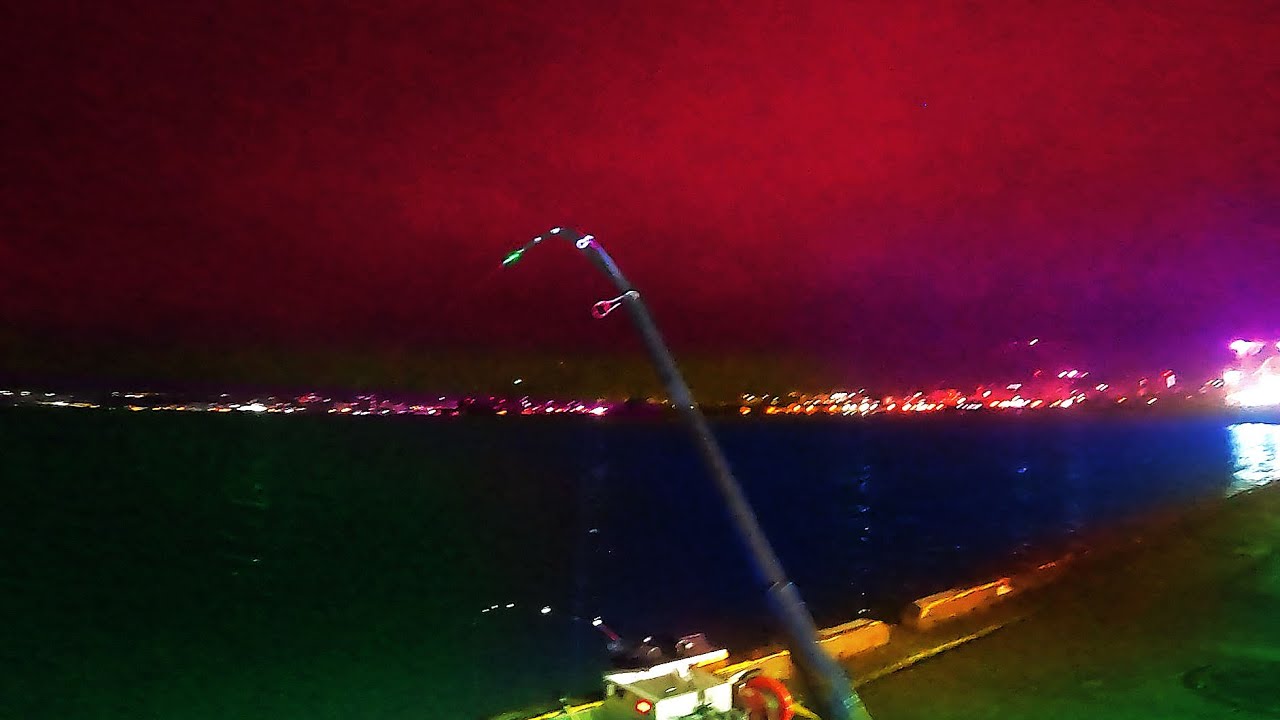 【北海道石狩湾・小樽釣り】隣のニシン釣り名人が釣った!!　2025.12.21　北国の生活（小樽港厩町岸壁、夜釣り、自動シャクリ機、投げ釣り）