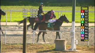 Vidéo de la course PMU PRIX FILIBUSTERO