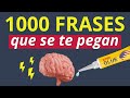 😱 1000 FRASES EN INGLÉS QUE SE TE PEGAN: ¡APRENDE INGLÉS REAL PARA LA VIDA DIARIA!